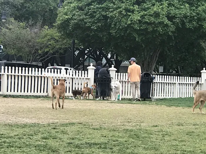 Meadows Dog Park 5