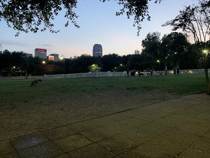 Meadows Dog Park 3