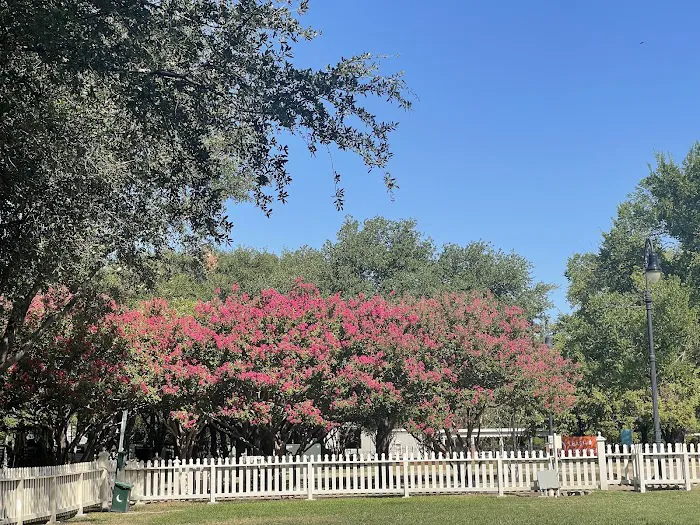 Meadows Dog Park 9