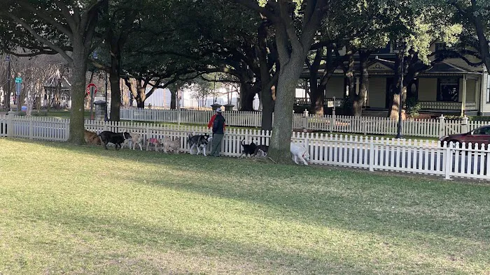 Meadows Dog Park 6