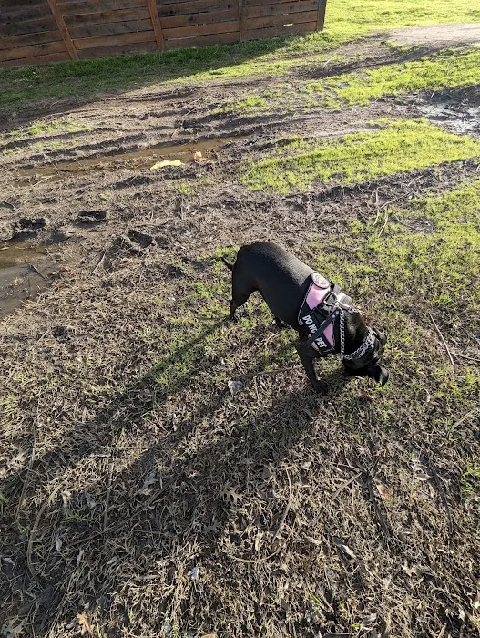 Meadows Dog Park 8