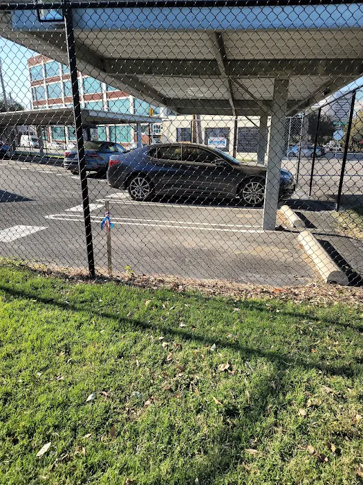 Deep Ellum Lofts Dog Park 1