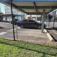 Deep Ellum Lofts Dog Park ico