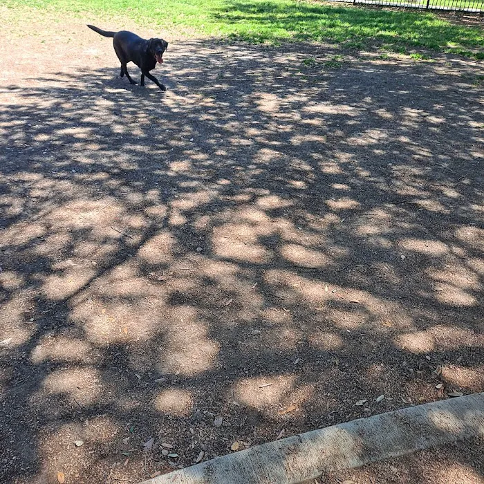 Crockett Dog Park 3