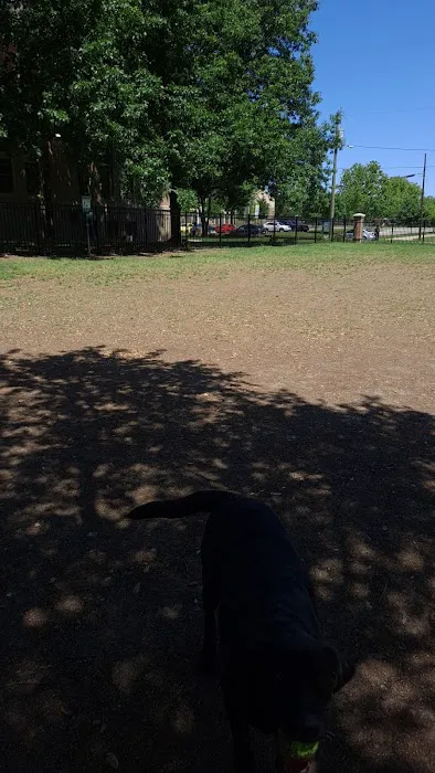 Crockett Dog Park 4