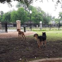 Crockett Dog Park ico