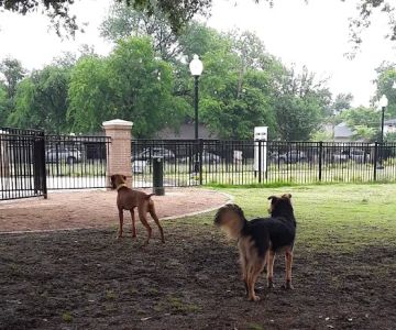 Crockett Dog Park