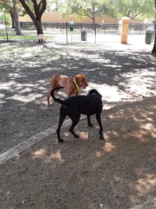 Crockett Dog Park 10