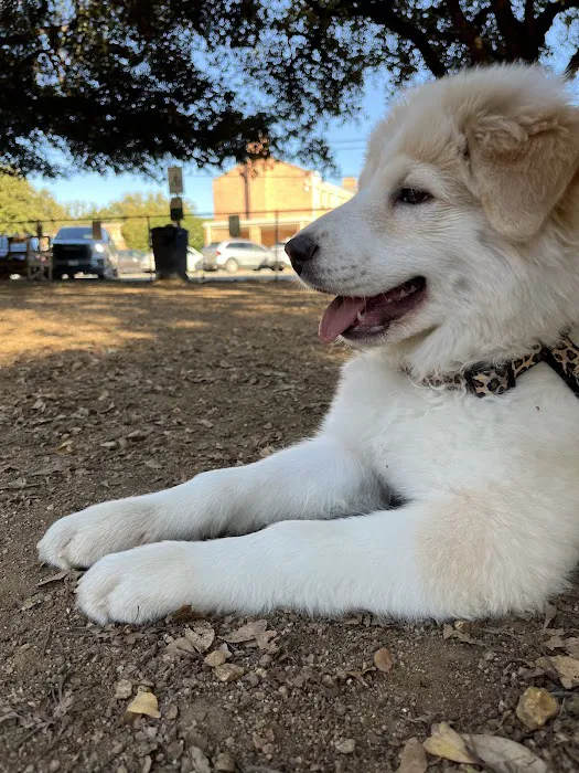 Central Commons Community Dog Park 3