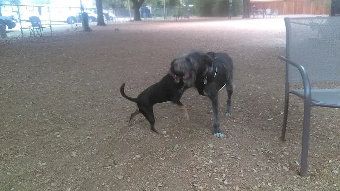 Central Commons Community Dog Park 2