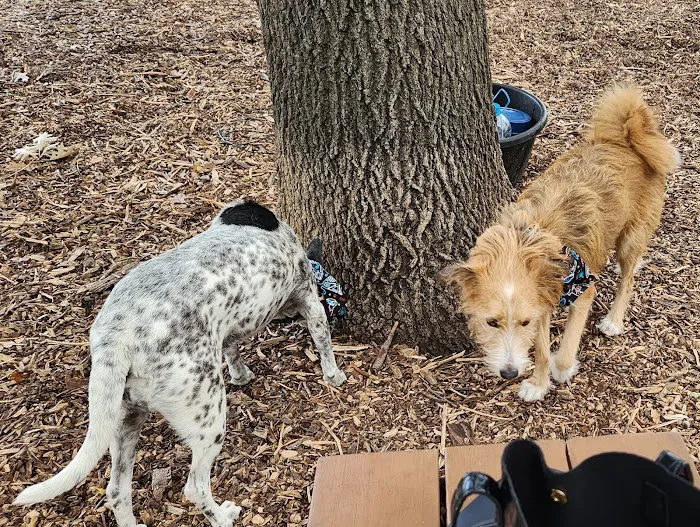 Elmwoof Dog Park 10