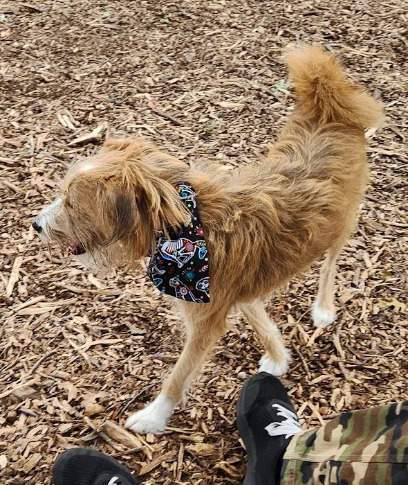 Elmwoof Dog Park 7