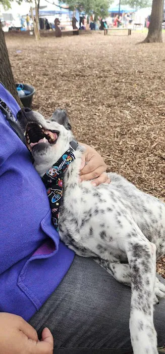 Elmwoof Dog Park 8