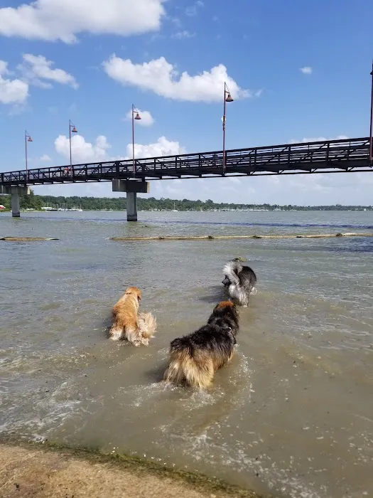 White Rock Lake Dog Park 6