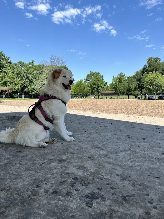 White Rock Lake Dog Park 5