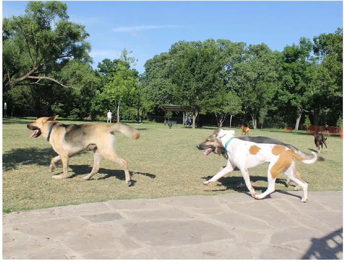 White Rock Lake Dog Park 4