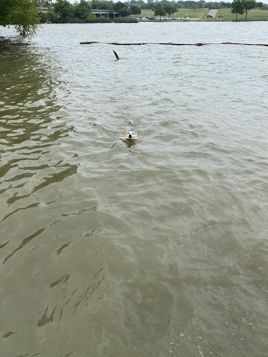 White Rock Lake Dog Park 2