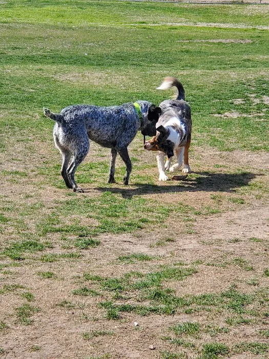 City of Mesquite Dog Park 10