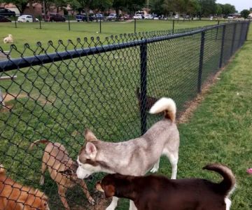 City of Mesquite Dog Park