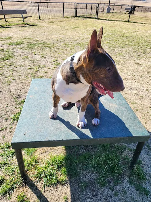 City of Mesquite Dog Park 9