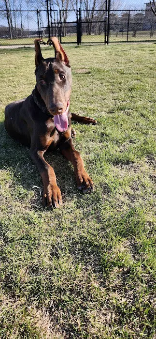 Paws Colinas Dog Park 10