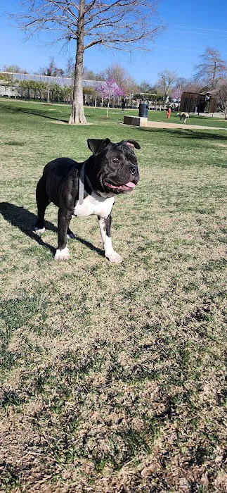Paws Colinas Dog Park 4