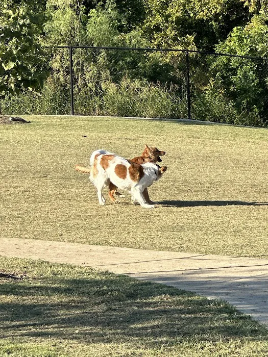 Paws Colinas Dog Park 7