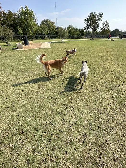 Paws Colinas Dog Park 6