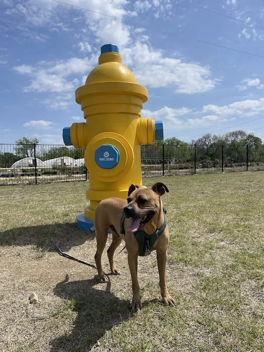 Paws Colinas Dog Park 1