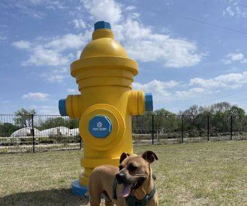 Paws Colinas Dog Park