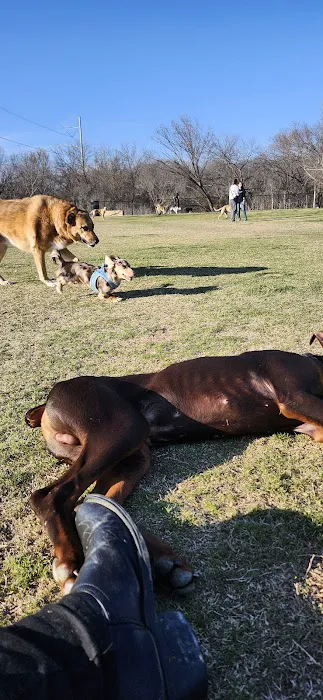 Paws Colinas Dog Park 2