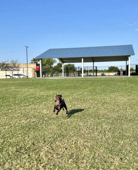Garland Dog Park 6
