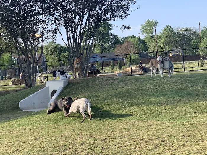 Garland Dog Park 7