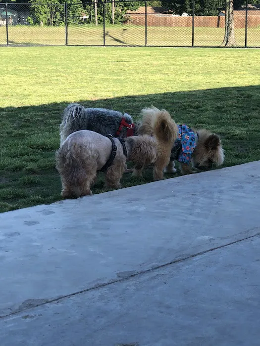 Garland Dog Park 5