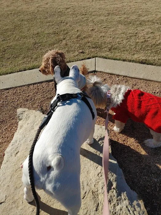 Garland Dog Park 8