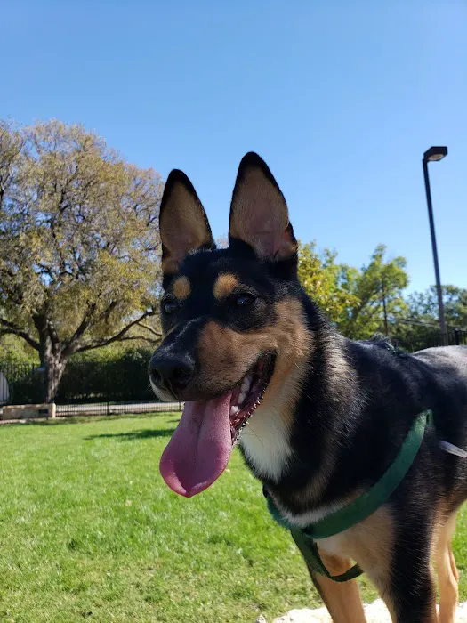 Barney Wood Bark Park 8