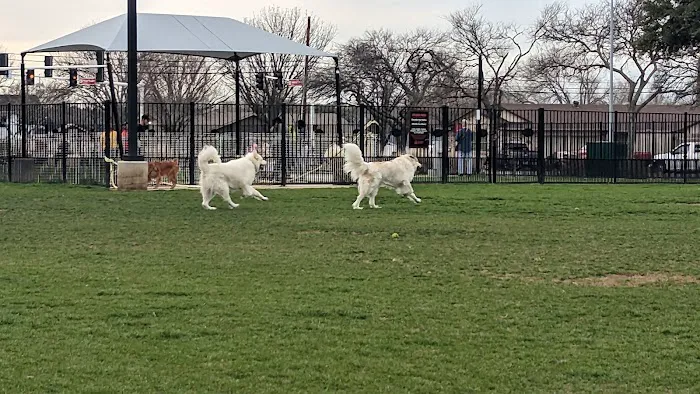 Barney Wood Bark Park 6