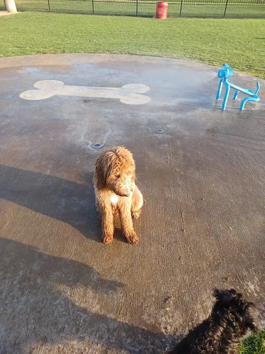 Barney Wood Bark Park 1