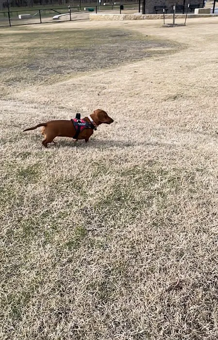 Copeland Dog Park 5