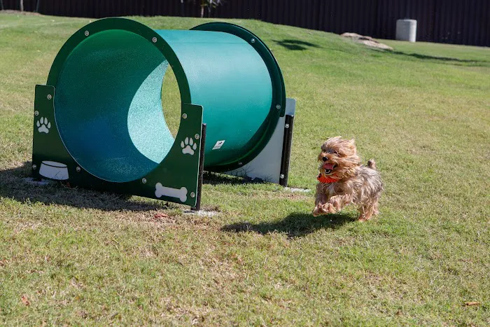 Copeland Dog Park 4