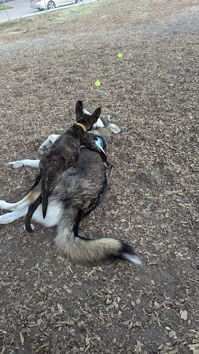 Parkhill Dog Park 4