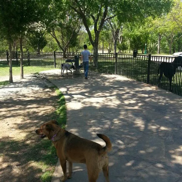 Wagging Tail Dog Park 3