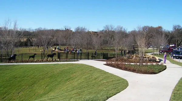 Wagging Tail Dog Park 2