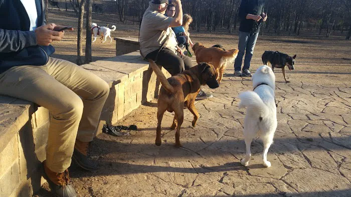 Wagging Tail Dog Park 4