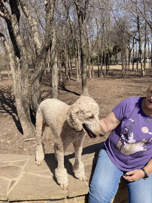 Wagging Tail Dog Park 6