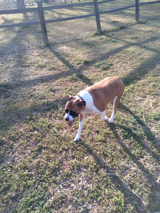 Lancaster Dog Park 8