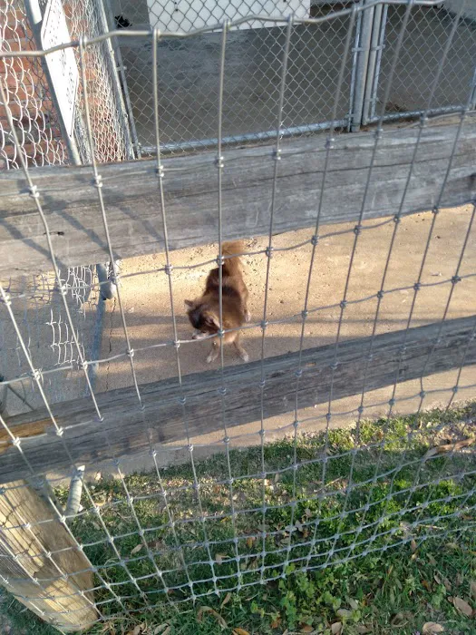 Lancaster Dog Park 3