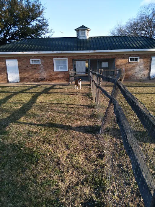 Lancaster Dog Park 1