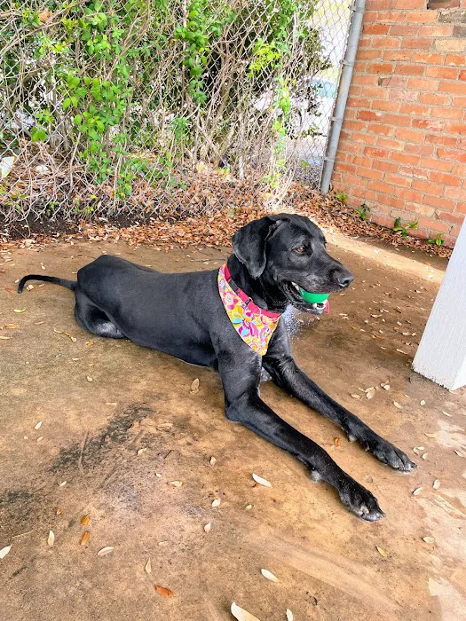 Lancaster Dog Park 10