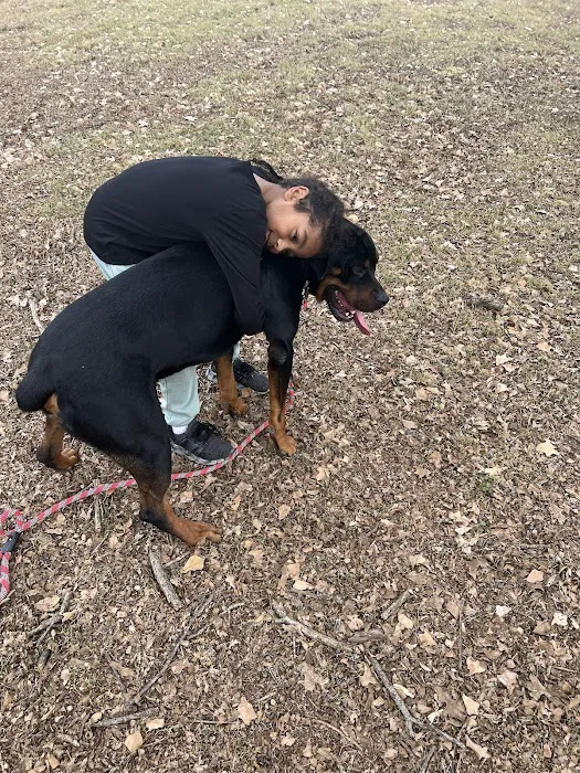 Central Bark Dog Park 8